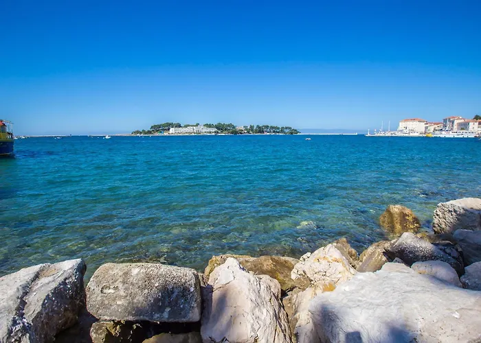 Mind And * 포레치